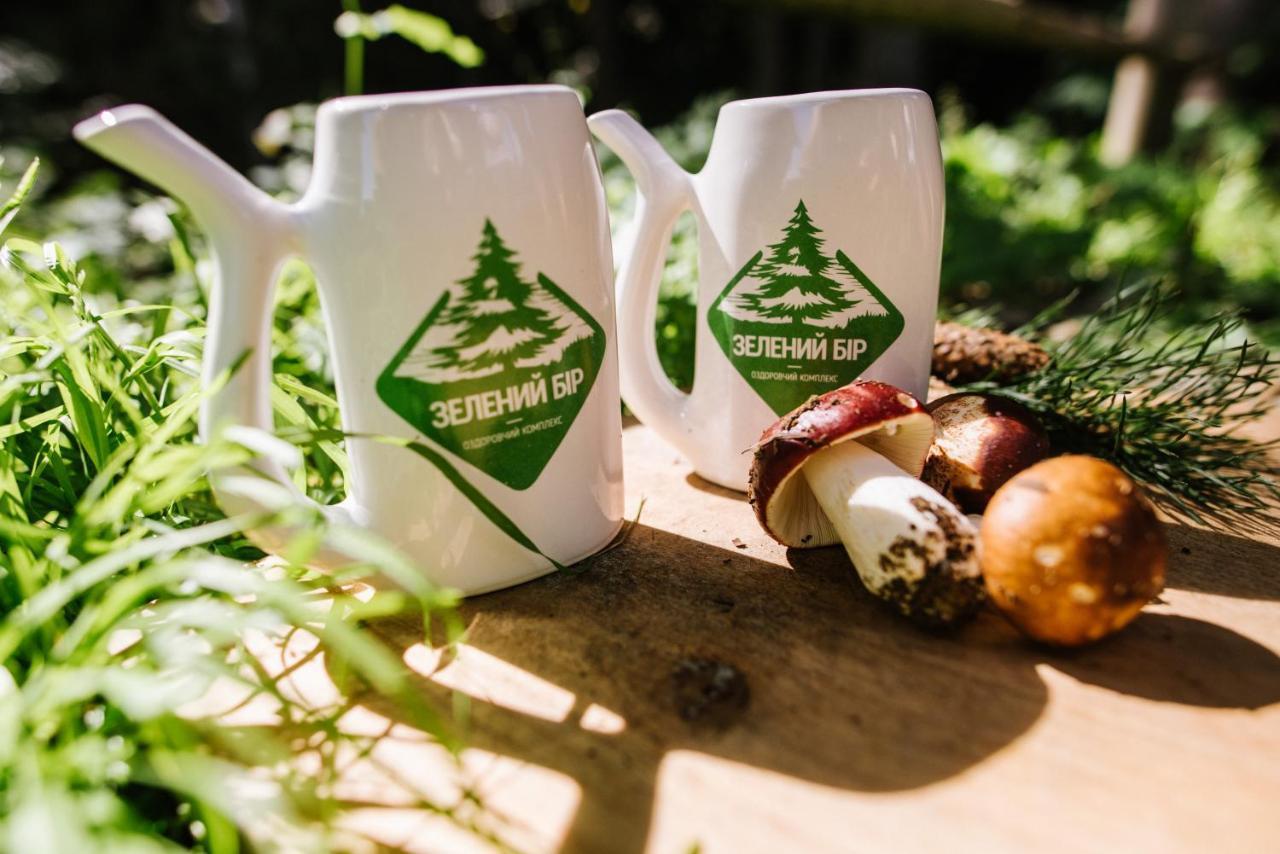 Zelenyy Bir Hotel Skhidnytsia Екстериор снимка