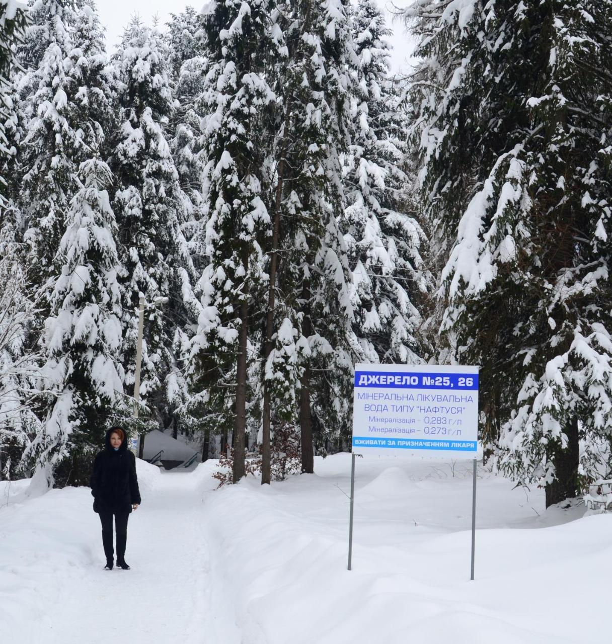 Zelenyy Bir Hotel Skhidnytsia Екстериор снимка